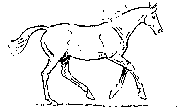 cavallo stilizzato corre.gif
